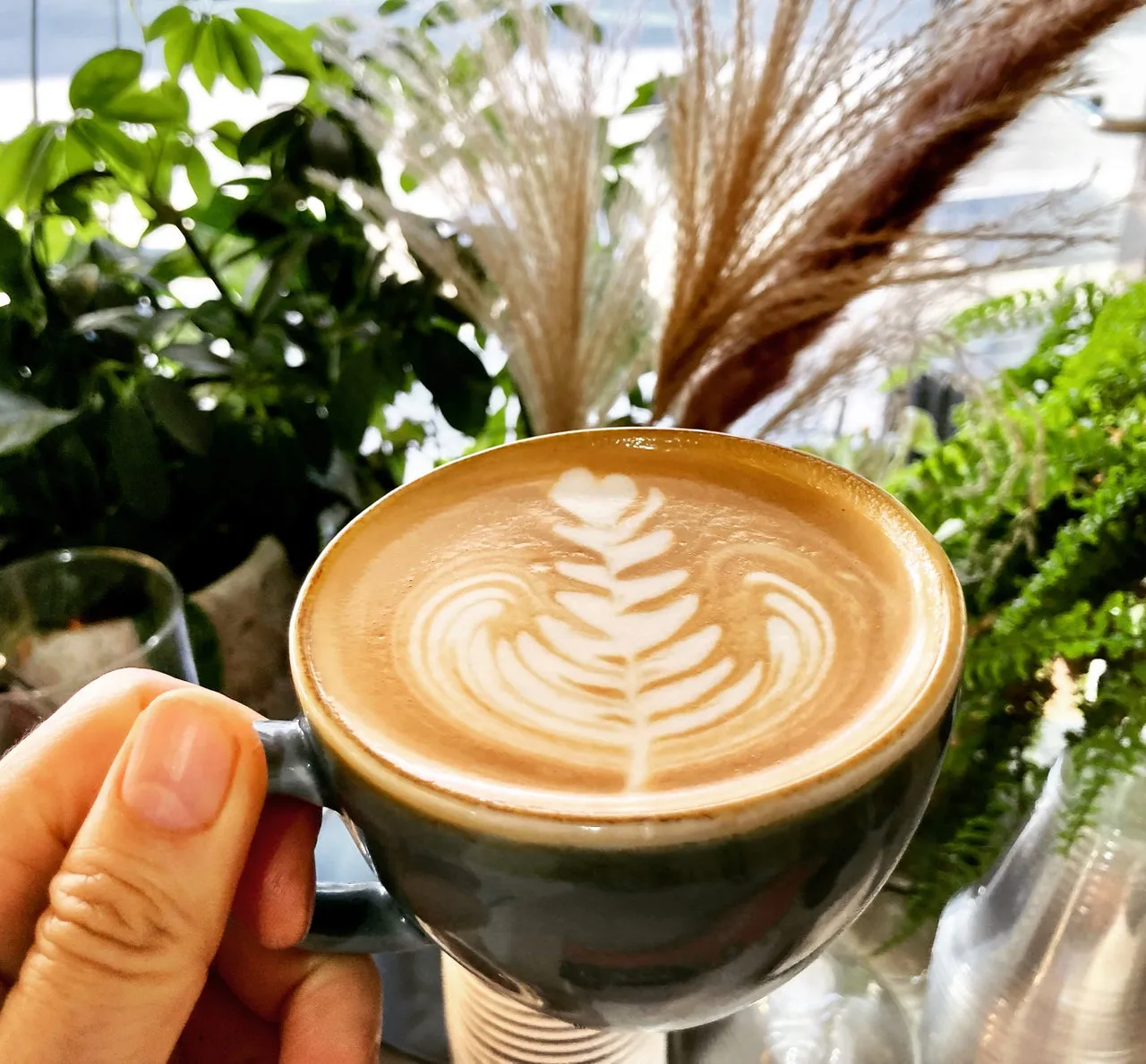 Flat white with latte art among green plants
