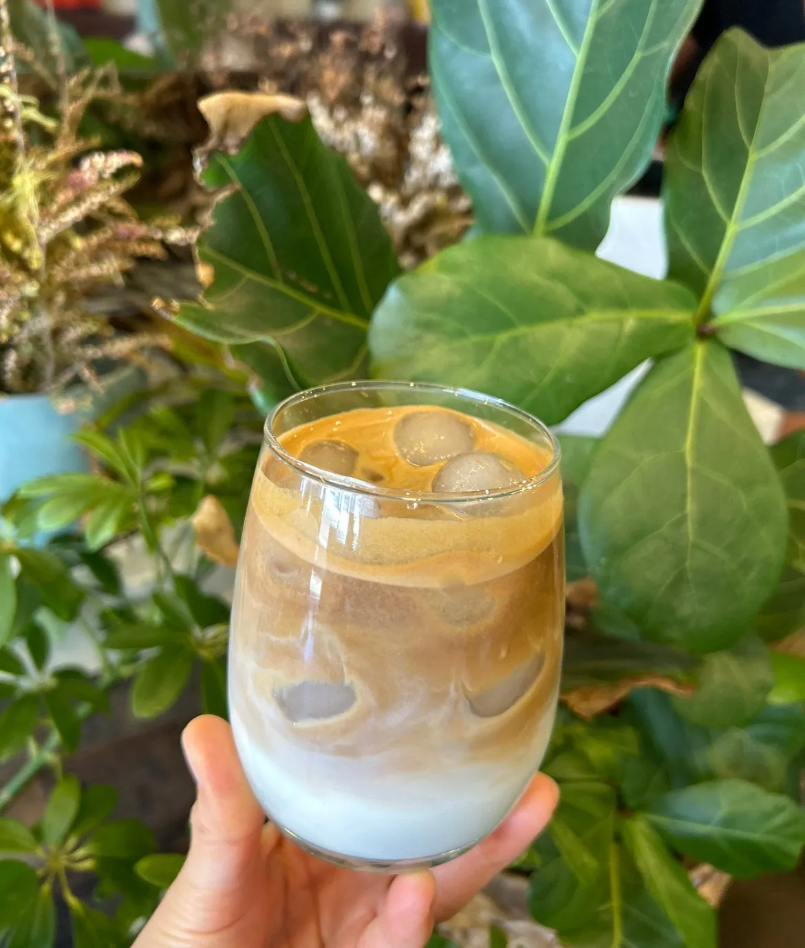 Iced Latte